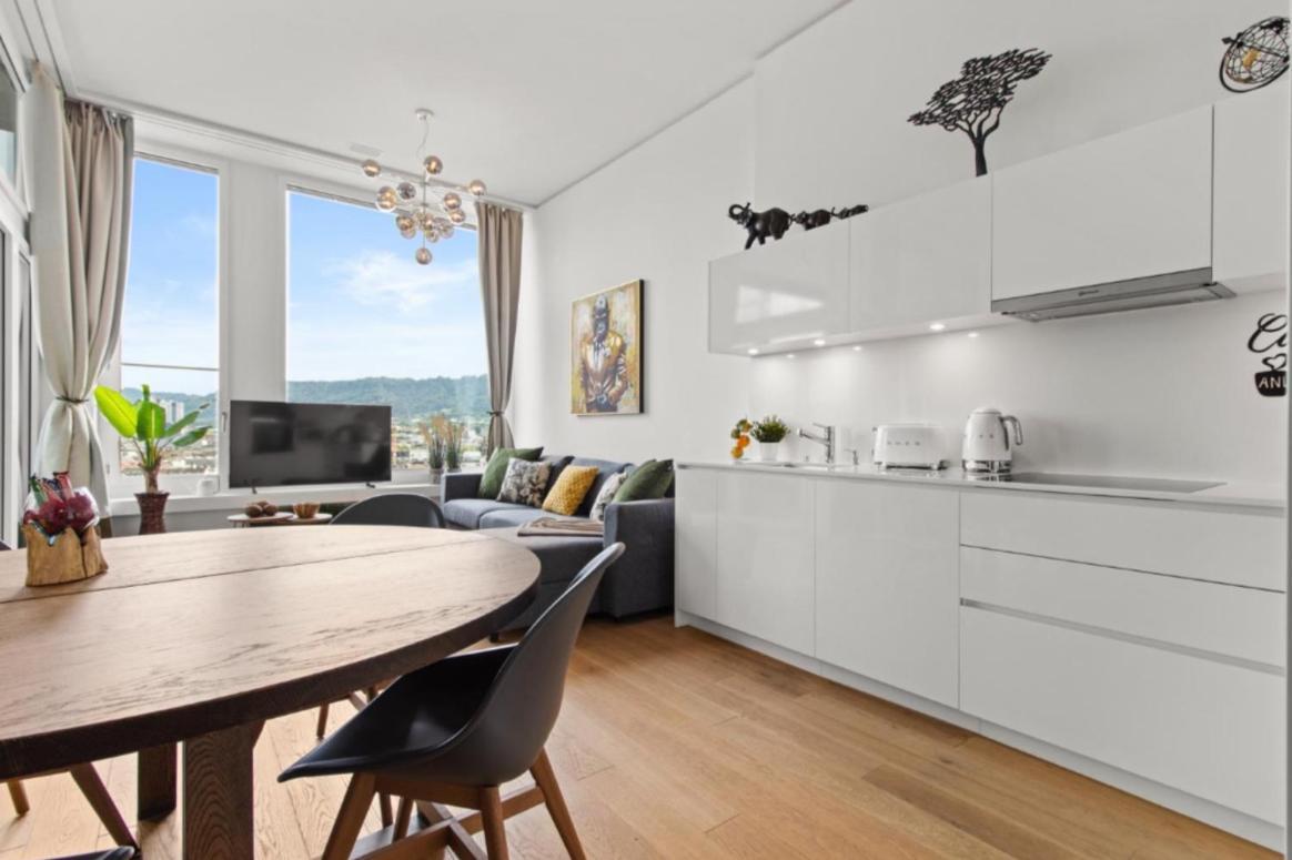 Appartamento Luxury Business Penthouse Near Mainstation Zuerich