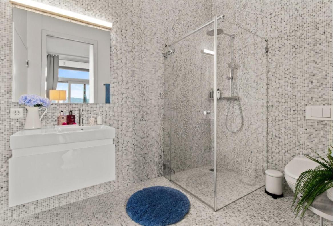 Luxury Business Penthouse Near Mainstation Zuerich *